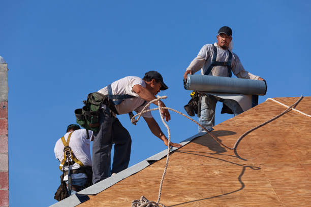 Best Roof Leak Repair  in North Fork, CA